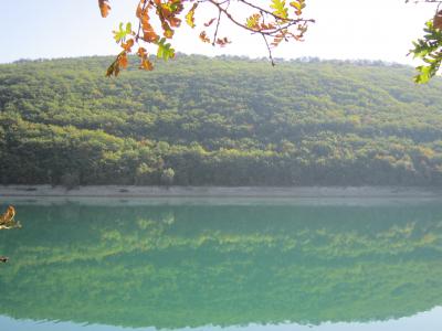 Прикрепленное изображение: IMG_0201.JPG